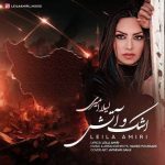 لیلا امیری – اشک و آتش
